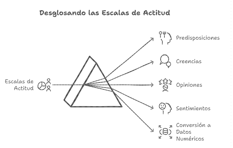 Ilustración 5: Escalas para medir actitudes - Fuente: Imagen elaborada con Napkin.IA. (19 de enero de 2025)