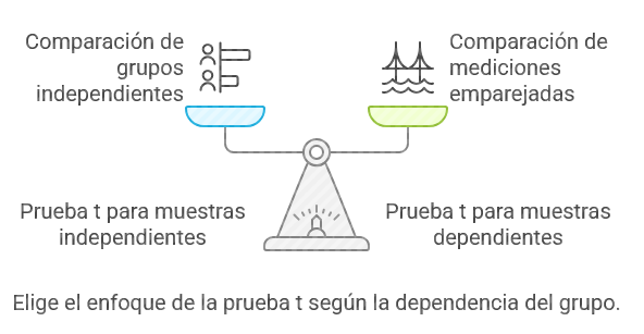 Ilustración 12: Tipos de prueba TFuente: Imagen elaborada con Napkin.IA. (19 de enero de 2025)