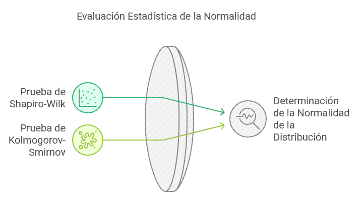Ilustración 13: Pruebas comunes de normalidad - Fuente: Imagen elaborada con Napkin.IA. (19 de enero de 2025)