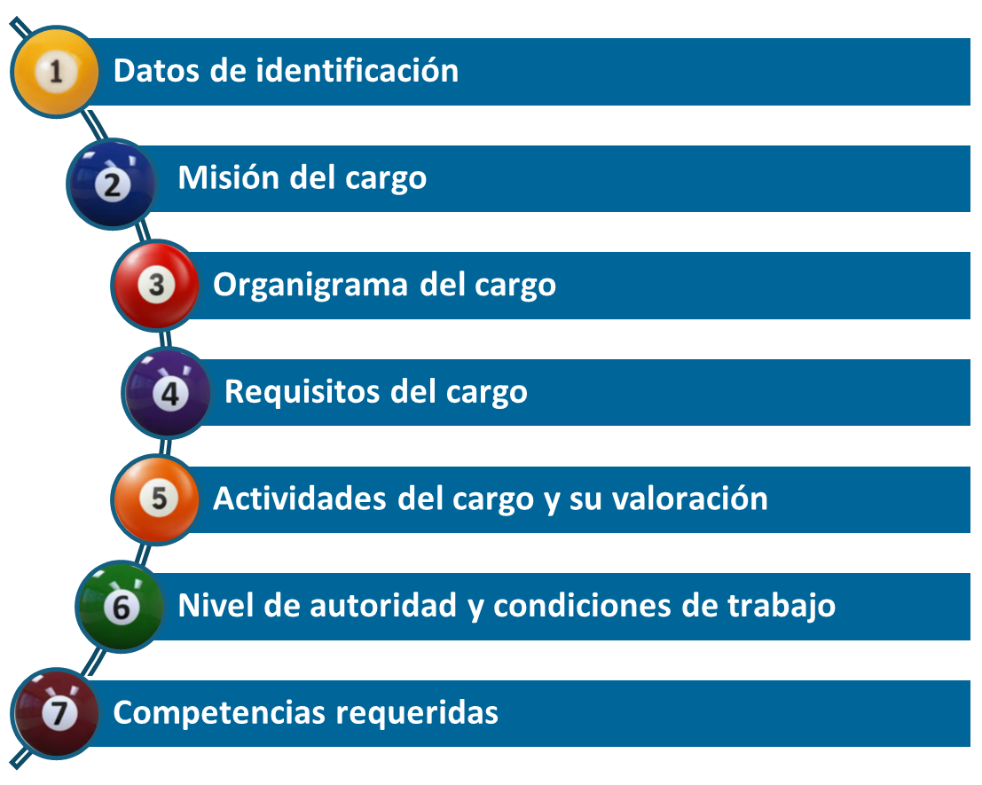 Figura 4: Información que se puede incluir en un perfil de cargo