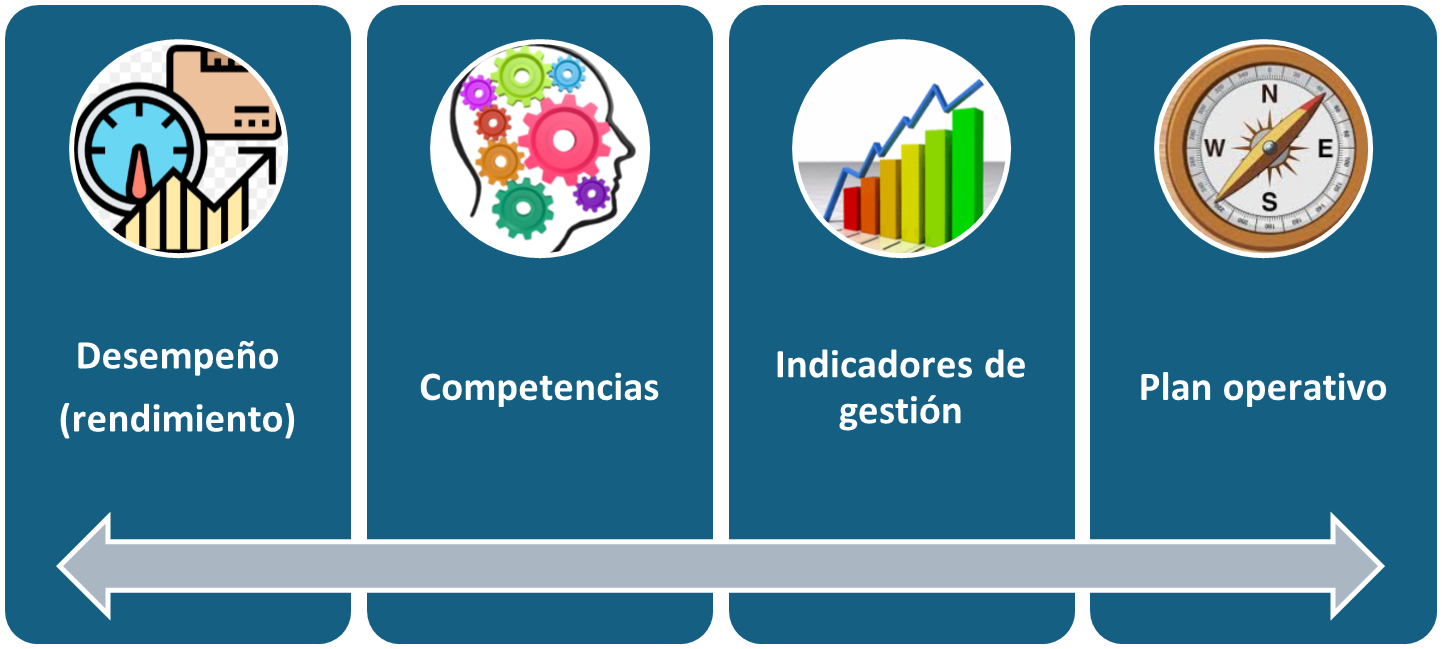Figura 6: Insumos para una evaluación de personal
