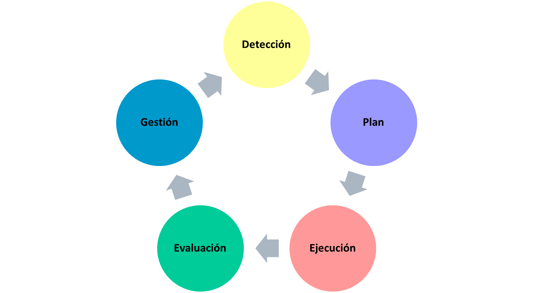 Figura 7: Ciclo de la capacitación