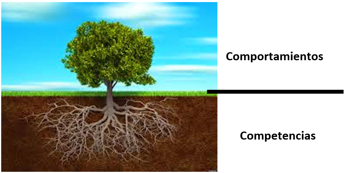 Figura 4: Diferencia entre competencias y comportamientos.