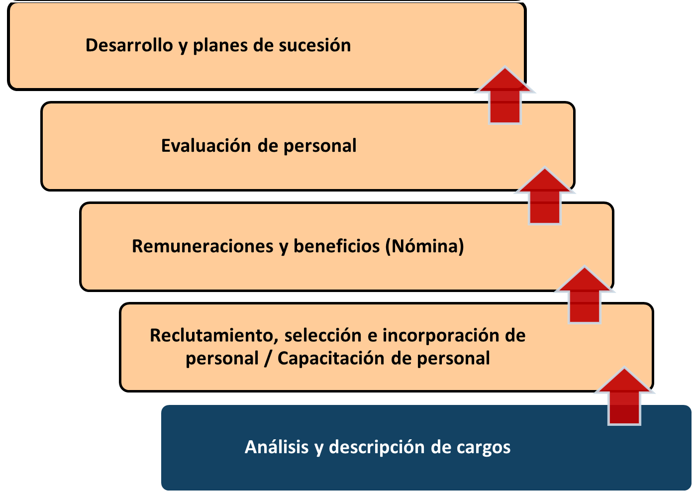 Figura 1. Importancia del análisis y descripción de cargos