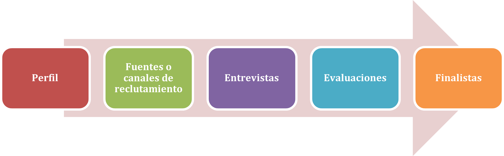 Figura 3. Etapas de un proceso de reclutamiento y selección de personal