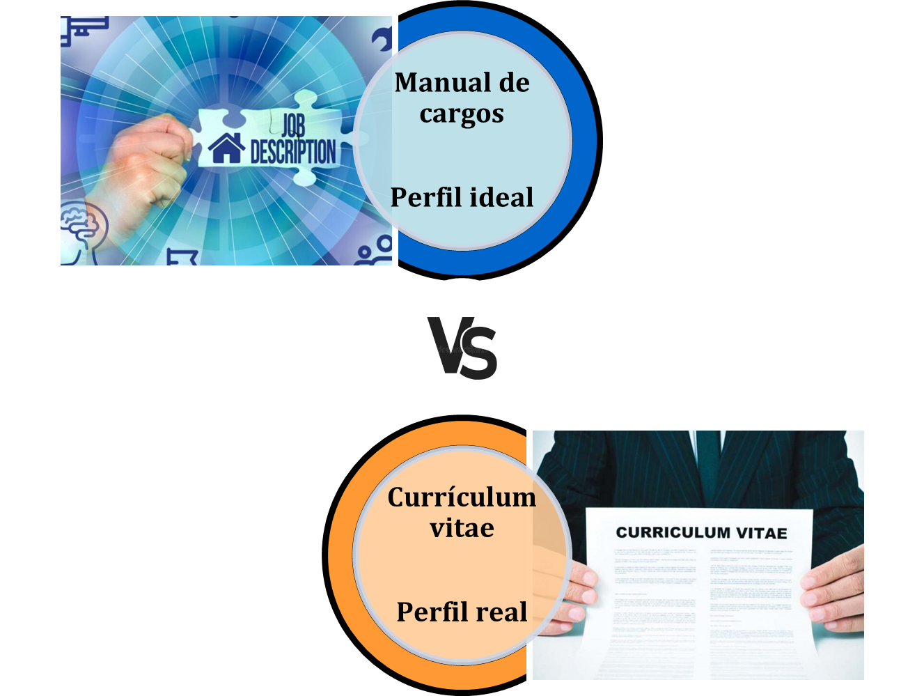  Figura 5:  Evaluación perfil ideal vs perfil real