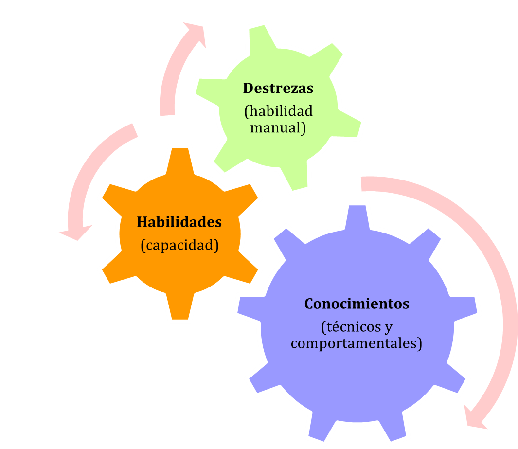 Figura 1: Integración de conocimientos, habilidades y destrezas 