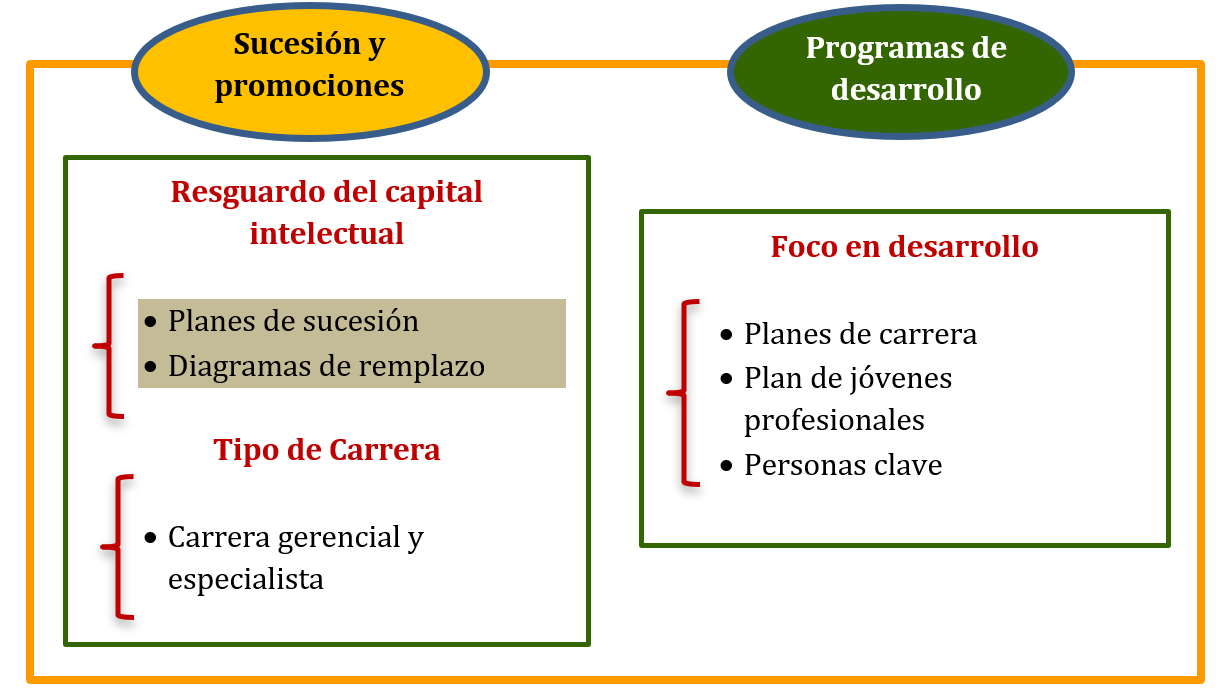 Figura 2. Foco de los diferentes programas - Fuente: Adaptación Alles