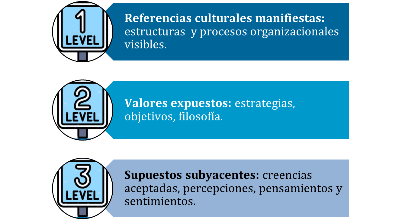 Figura 1. Niveles de la cultura organizacional
