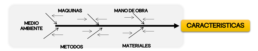 Figura 6. Diagrama causa – efecto
