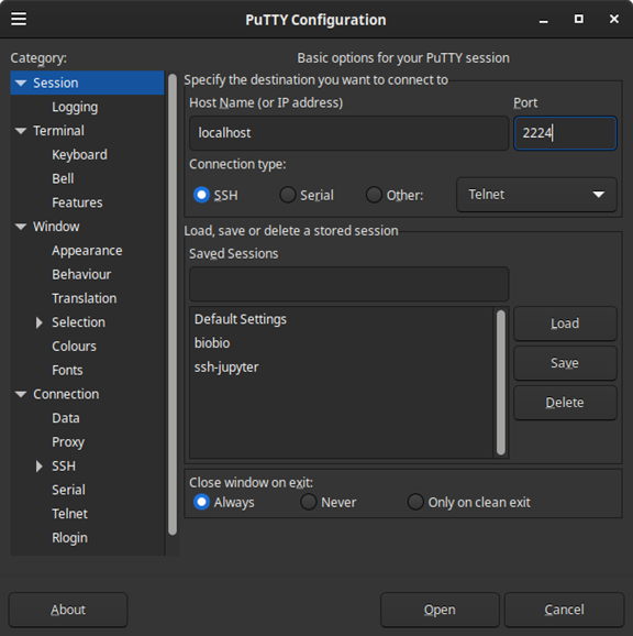 Figura 13: Programa Putty para conexiones remotas