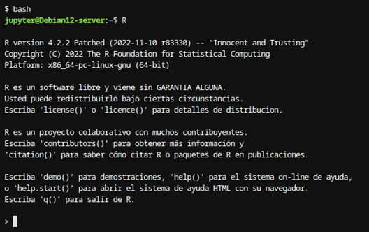 Figura 2: Consola R