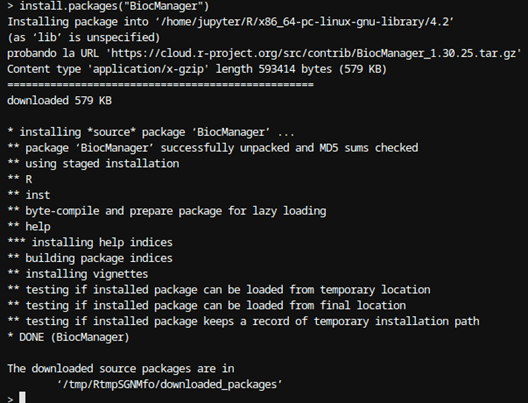 Figura 3: Instalación de BiocManager en R