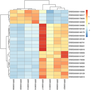 Figura 2: Heatmap con Dendrograma