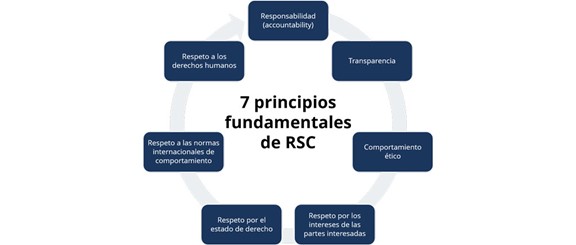 Figura 4: 7 principios fundamentales de la Responsabilidad Social