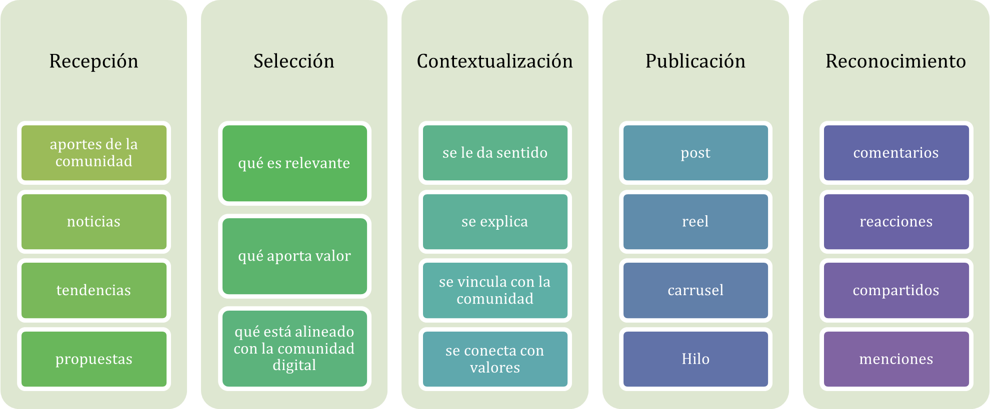 Proceso de curaduría comunitaria