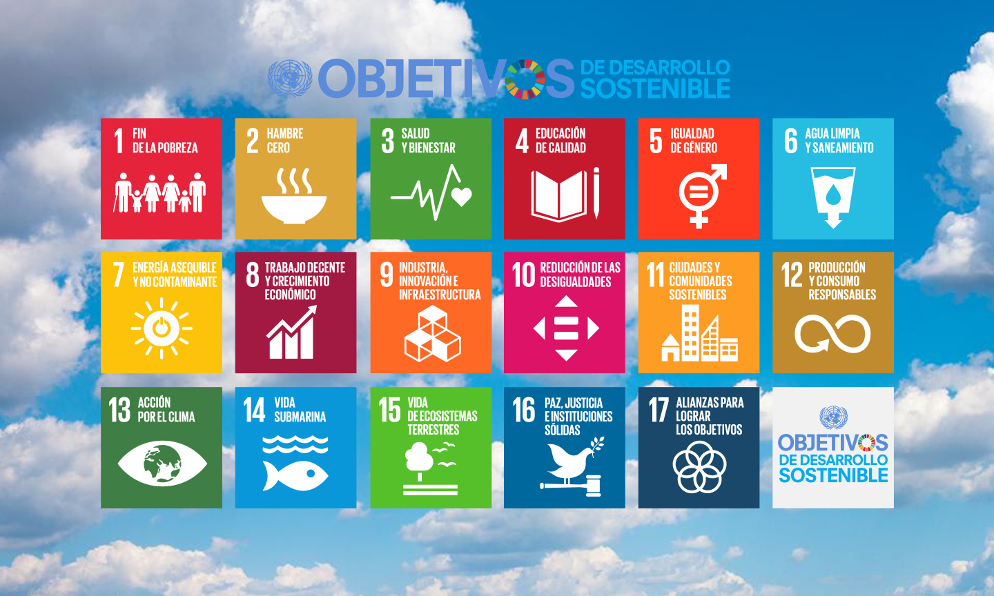Los 17 ODS desde la Agenda 2030