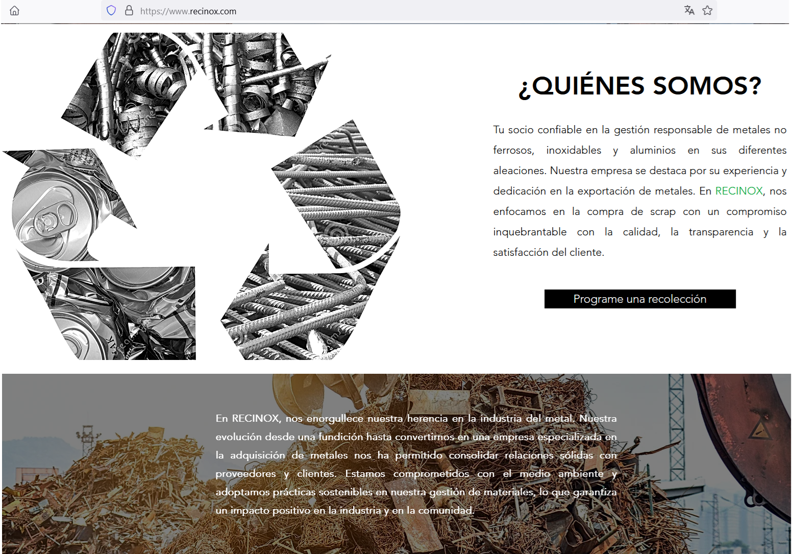 Sitio en línea de la empresa Recinox – México