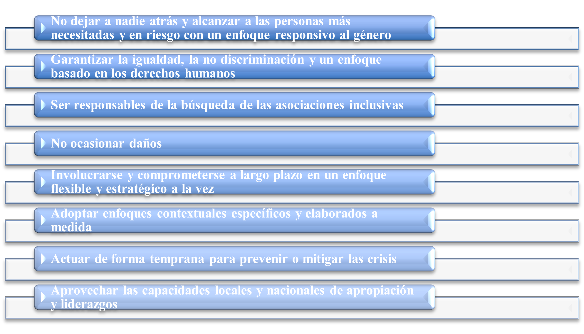 ¿Cuáles son los principios compartidos para crear resiliencia (ONU)